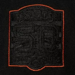 Tc Bottoms Snapback Houston Astros