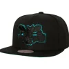 Tc Bottoms Snapback Hwc Charlotte Hornets