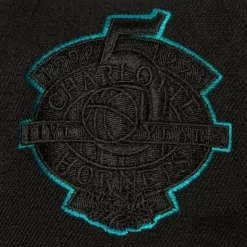 Tc Bottoms Snapback Hwc Charlotte Hornets