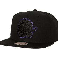 Tc Bottoms Snapback Hwc Toronto Raptors