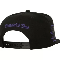 Tc Bottoms Snapback Hwc Toronto Raptors