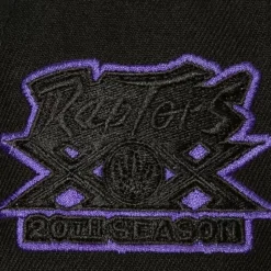 Tc Bottoms Snapback Hwc Toronto Raptors