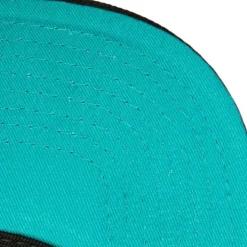 Tc Bottoms Snapback Hwc Vancouver Grizzlies