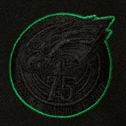 Tc Bottoms Snapback Philadelphia Eagles