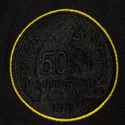 Tc Bottoms Snapback Vntg Boston Bruins