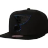 Tc Bottoms Snapback Vntg St. Louis Blues