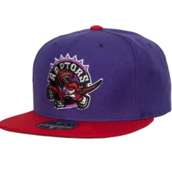 Team 2 Tone 2.0 Fitted Hat Hwc Toronto Raptors
