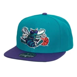 Team 2 Tone 2.0 Fitted Hwc Charlotte Hornets