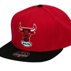 Team 2 Tone 2.0 Fitted Hwc Chicago Bulls