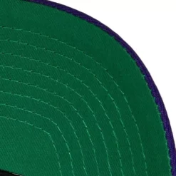 Team 2 Tone 2.0 Pro Snapback Hwc Milwaukee Bucks