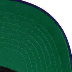 Team 2 Tone 2.0 Pro Snapback Hwc Charlotte Hornets