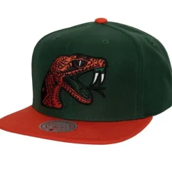 Team 2 Tone 2.0 Snapback Florida A&M University