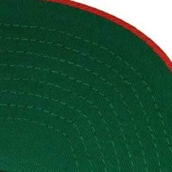 Team 2 Tone 2.0 Snapback Florida A&M University