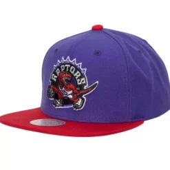 Team 2 Tone 2.0 Snapback Hwc Toronto Raptors