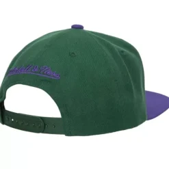 Team 2 Tone 2.0 Snapback Hwc Milwaukee Bucks