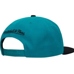 Team 2 Tone 2.0 Snapback Hwc Detroit Pistons