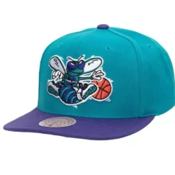 Team 2 Tone 2.0 Snapback Hwc Charlotte Hornets
