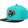 Team 2 Tone 2.0 Snapback Hwc Vancouver Grizzlies