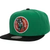 Team 2 Tone 2.0 Snapback Hwc Boston Celtics