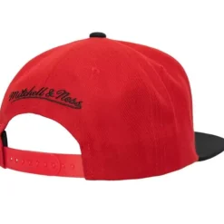 Team 2 Tone 2.0 Snapback Hwc Chicago Bulls