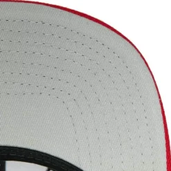 Team 2 Tone 2.0 Snapback Nba Toronto Raptors