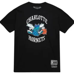 Team Basic 2 Tee Charlotte Hornets