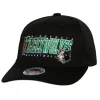 Team Graphic Stretch Snapback Minnesota Timberwolves