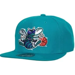 Team Ground 2.0 Fitted Hat Hwc Charlotte Hornets