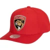 Team Ground 2.0 Pro Snapback Florida Panthers
