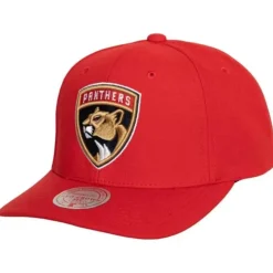 Team Ground 2.0 Pro Snapback Florida Panthers