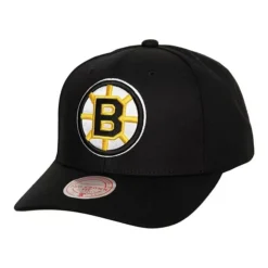 Team Ground 2.0 Pro Snapback Boston Bruins