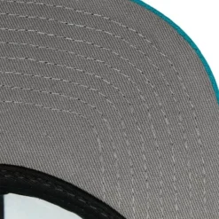 Team Ground 2.0 Snapback Charlotte Hornets