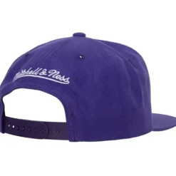 Team Ground 2.0 Snapback Hwc Toronto Raptors