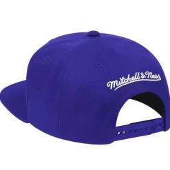 Team Ground Snapback Toronto Raptors