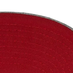 Team Heather 2.0 Snapback Chicago Bulls