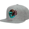 Team Heather 2.0 Snapback Hwc Vancouver Grizzlies