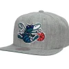 Team Heather 2.0 Snapback Hwc Charlotte Hornets