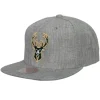 Team Heather 2.0 Snapback Milwaukee Bucks
