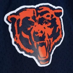 Team Id Mesh Shorts Chicago Bears