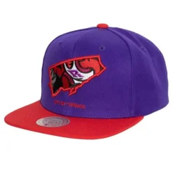 Team Insider Snapback Hwc Toronto Raptors