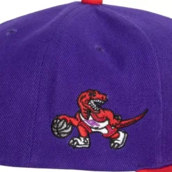 Team Insider Snapback Hwc Toronto Raptors