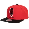 Team Insider Snapback Hwc Chicago Bulls