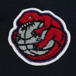 Team Legacy French Terry Hoodie Toronto Raptors