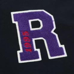 Team Legacy French Terry Hoodie Toronto Raptors