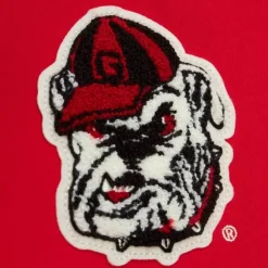 Team Legacy French Terry Hoodie University Of Georgia