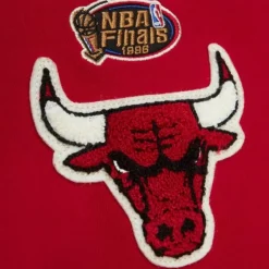 Team Legacy French Terry Hoodie Chicago Bulls