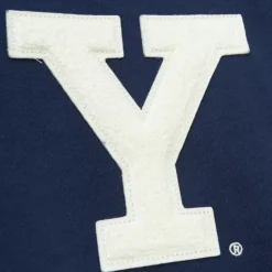 Team Legacy French Terry Hoodie Yale University