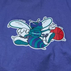 Team Og 2.0 Anorak Windbreaker Charlotte Hornets
