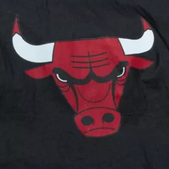 Team Og 2.0 Anorak Windbreaker Chicago Bulls