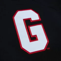 Team Og 2.0 Lightweight Satin Jacket University Of Georgia